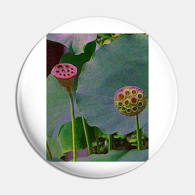 Alchemia, Lotus Seed heads (Just the Two of Us) Pin by Alchemia