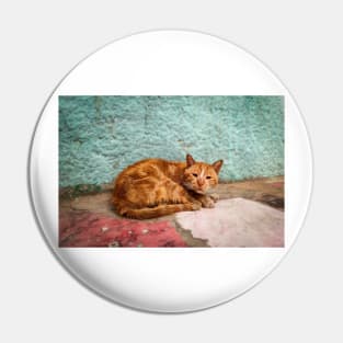 Cat orange Pin