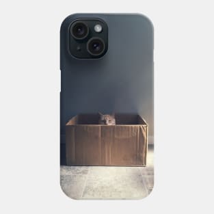 Cat in a box. The Zen cat master. Photography Phone Case