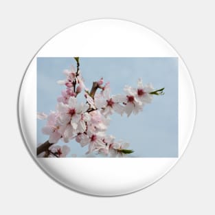 Almond Blossom Pin