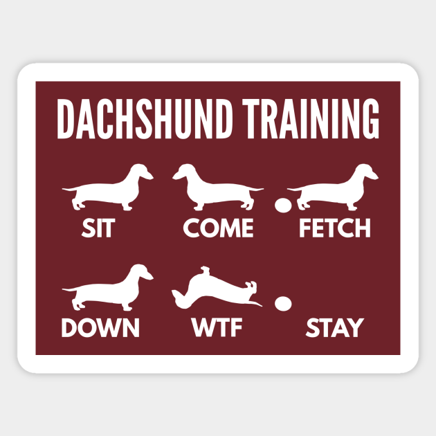 Dachshund Training Dachshund Dog Tricks - Dachshund - Sticker