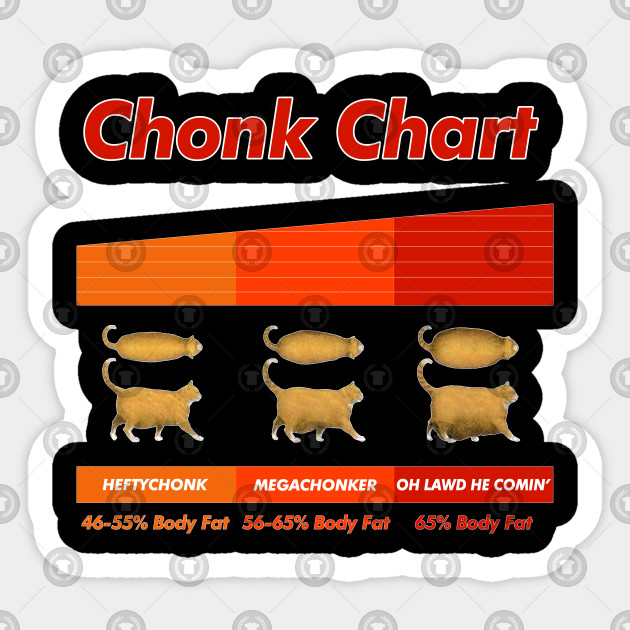 Cat Size Chart Chonk