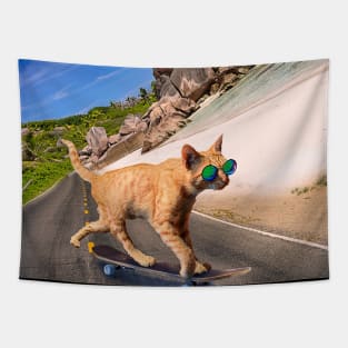 Cat With Sunglasses On Skateboard At Beach Tapestry