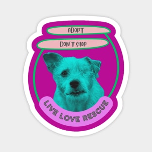 Rescue, adopt don't shop, oney eyed rescue dog Magnet