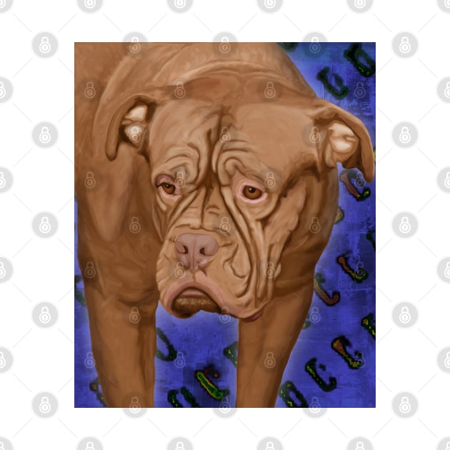 Dogue de Bordeaux on Blue Urban Background by ibadishi