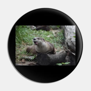 Funny Otter Pin