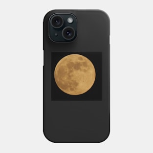 Bat on the Moon Phone Case