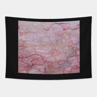 Texture pink stone structure Tapestry