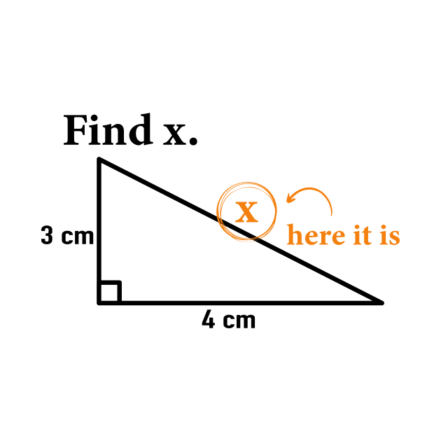 Find X I Found it Funny Math Geometric Triangle Fun by ChrifBouglas
