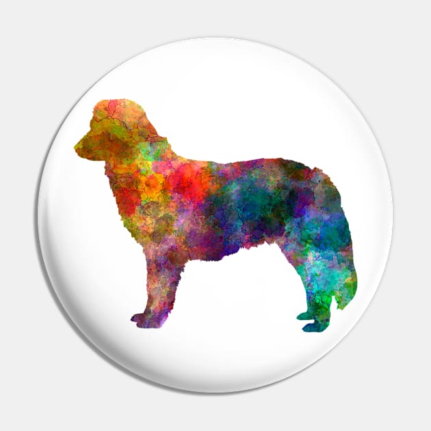 Nova Scotia Duck Tolling Retriever in watercolor Pin by PaulrommerArt