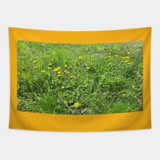 Spring grass, flowers, nature photo Tapestry