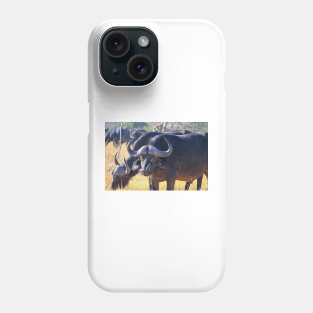 African Cape Buffalo with Two Oxpeckers on His Face Phone Case by SafariByMarisa
