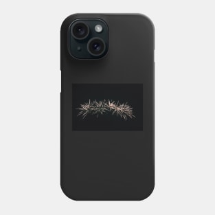 Fireworks Phone Case