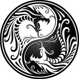 White and Black Yin Yang Dragons Magnet