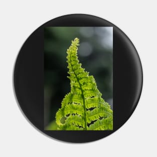 Fern Pin