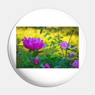 Pink Peonies and Roses Pin