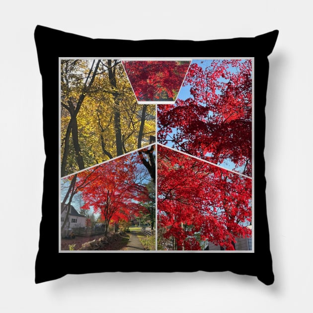 Foliage Collage Pillow by Barschall