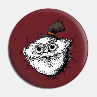 A Cute Fuzzy Owl with an Adorable Little Hat Pin