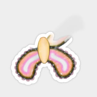 Cute Butterfly Drawing Magnet