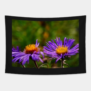 Purple Aster Blossoms Tapestry