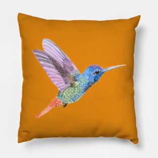 Colorful Colibri Pillow