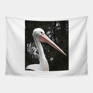 Australian Pelican Tapestry