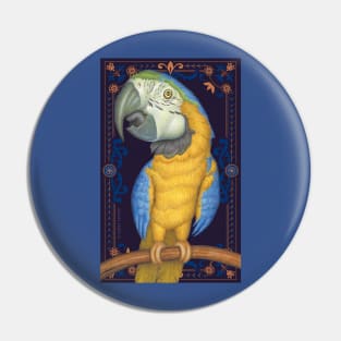 Cute African Blue & Gold Macaw with tapestry background Pin