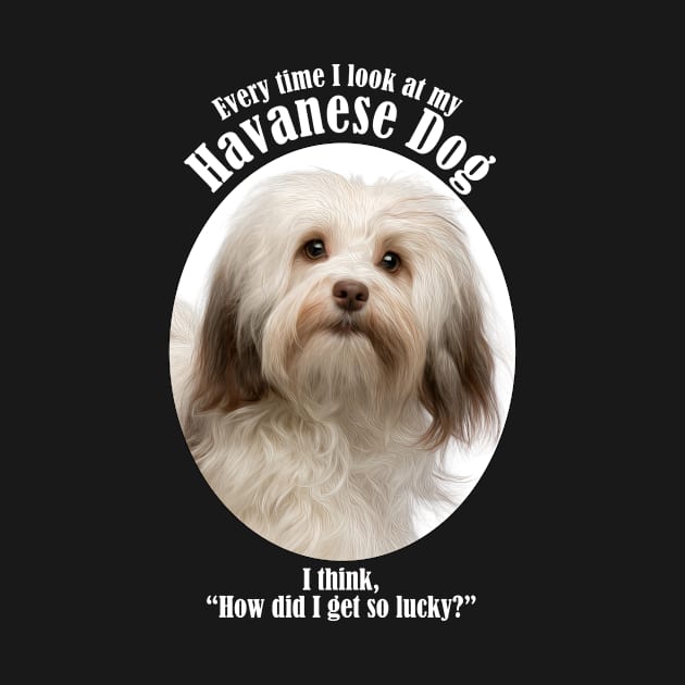 Lucky Havanese by You Had Me At Woof