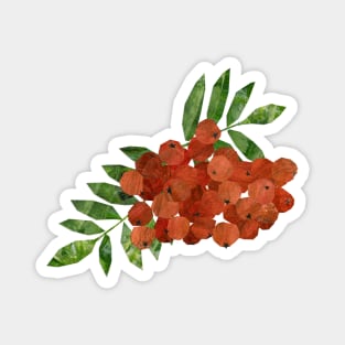 Rowan berries Magnet