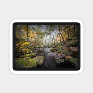 Misty Woodland Stream in Autumn Magnet