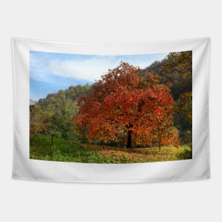 The old persimmon Tapestry
