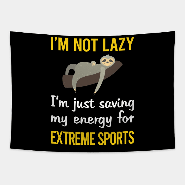 Funny Lazy Extreme Sports Tapestry by blakelan128