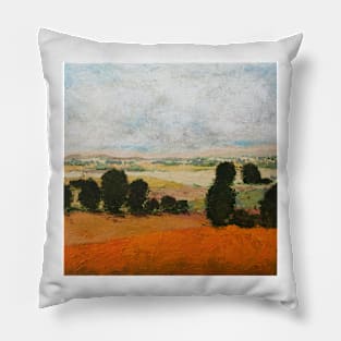 45 Acres Pillow