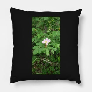 Wild Rose Pillow