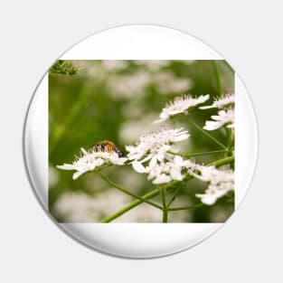 fli pollen Pin