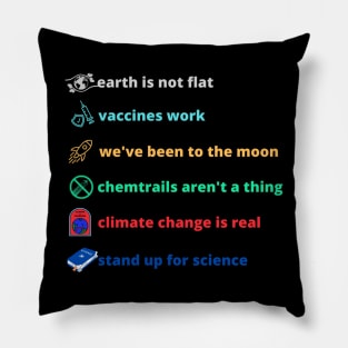 Earth is not flat! Vaccines work! We've been to the moon! Chemtrails aren't a thing! Climate change is real! Stand up for science! Pillow