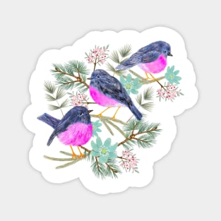 Pink robins Magnet