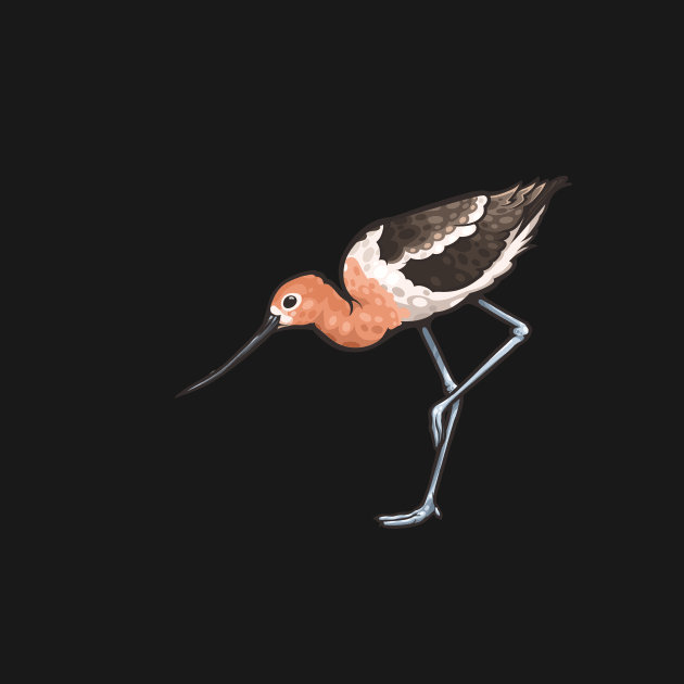 American Avocet by Ginboy