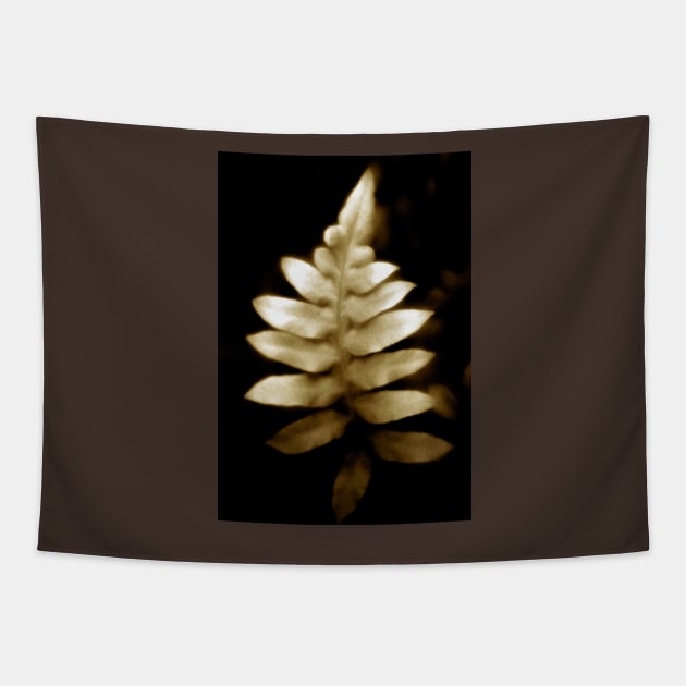 soft focus fern Tapestry by lastgasp