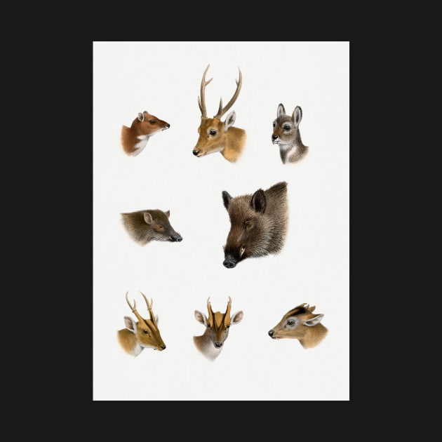 Stickers animal by RosMir