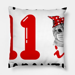 I Turned 11 In Quarantine Funny Cat Facemask Pillow