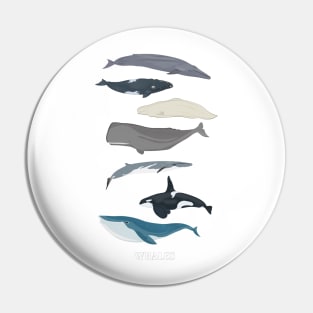 Whales Pin