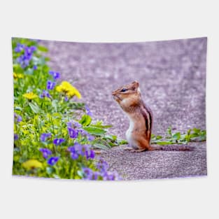 Chipmunk gasps in delight at spring flowers Tapestry