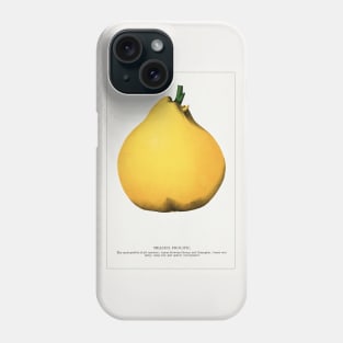 Meech's Prolific Pear  Lithograph (1900) Phone Case