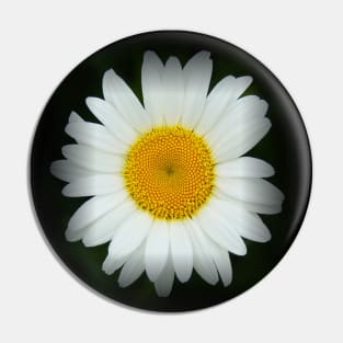 Happy Daisy Flower - White and Yellow Flower on Black Pin