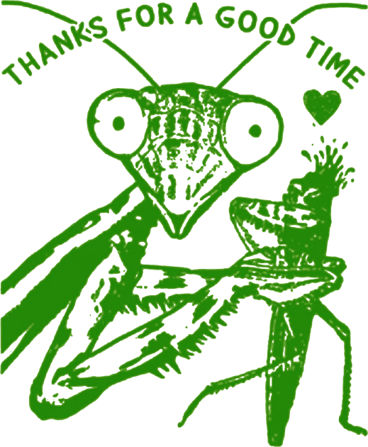 Praying Mantis T Shirt Funny Weird Crazy Shirts for Women Men Man Eater Cute Insect Shirt Cool Graphic Shirts Dark Humor Tee Silly Saying Kids T-Shirt by YolandaRoberts