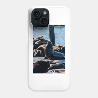 Black Sea Lion Phone Case