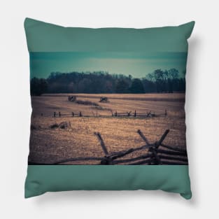 Odd Crops Pillow