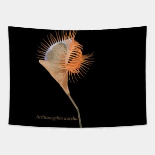 Venus flytrap sea anemone- Actinoscyphia aurelia Tapestry