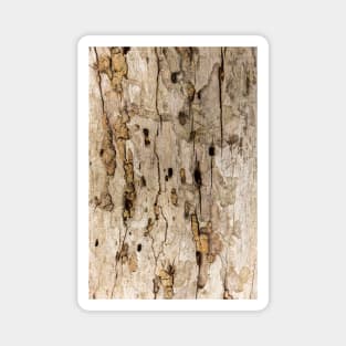 Termite Wooden Surface Magnet